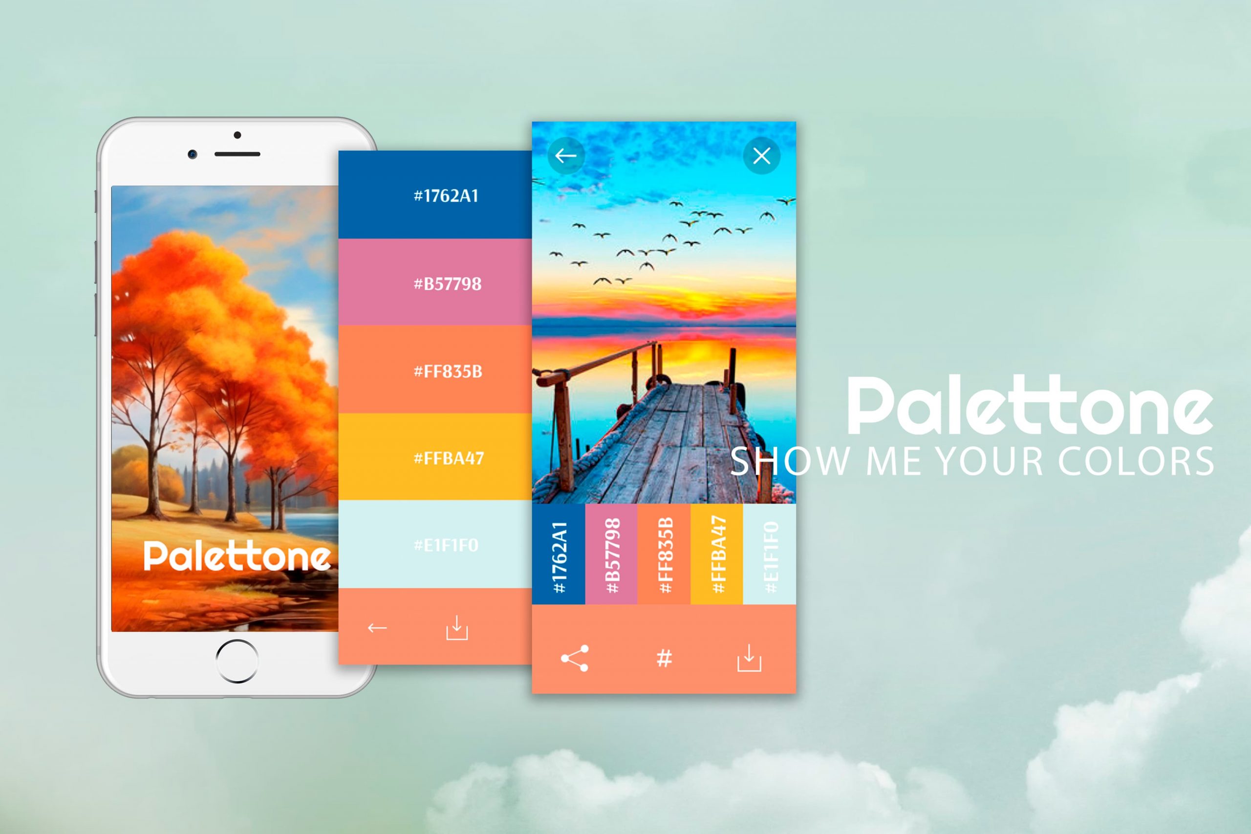 MOCKUP APP PALETTONE 72
