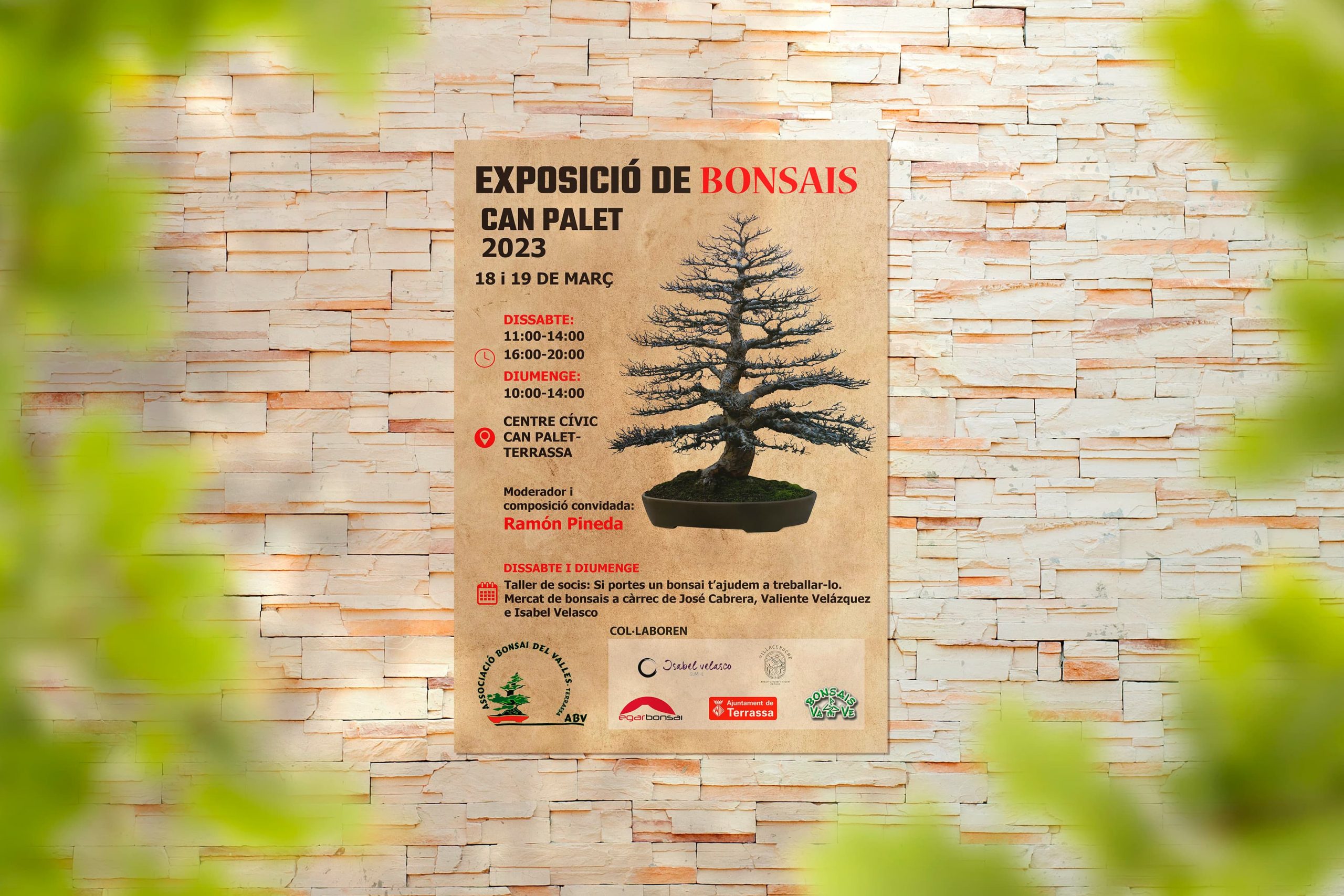 mockup bonsai can palet 23